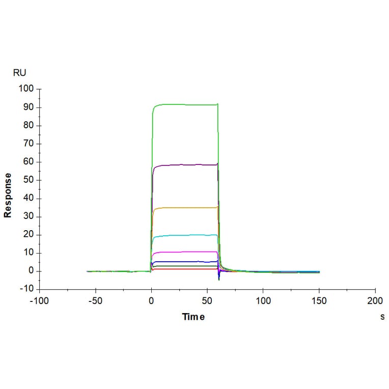 SPR Assay - Recombinant Human Tie2 Protein (C-terminal His Tag) (A331328) - Antibodies.com