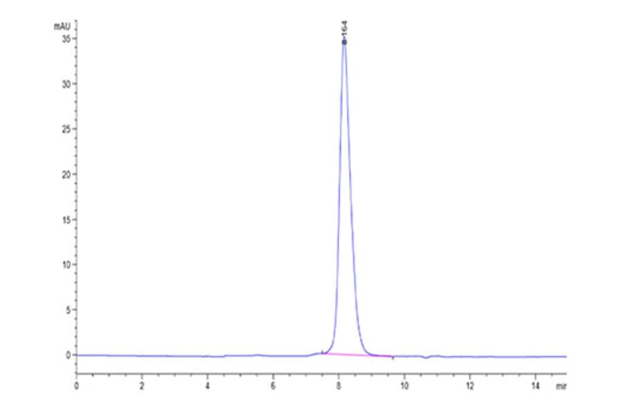 SEC-HPLC - Recombinant Human TIGIT Protein (Biotin) (C-terminal His and Avi Tag) (A331330) - Antibodies.com