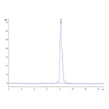 SEC-HPLC - Recombinant Human TIGIT Protein (Biotin) (C-terminal His and Avi Tag) (A331330) - Antibodies.com