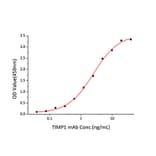 Standard Curve - Recombinant Human TIMP1 Protein (C-terminal His Tag) (A331333) - Antibodies.com