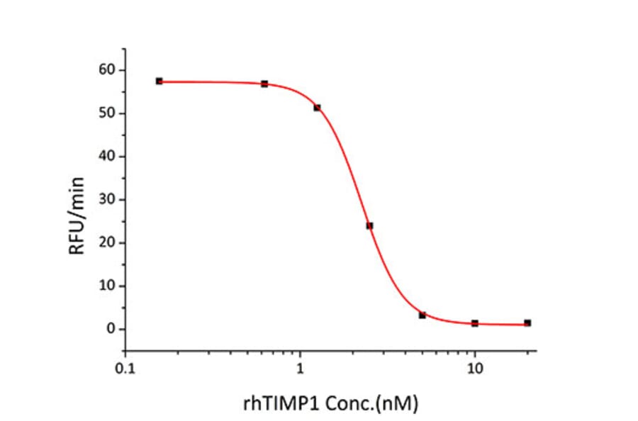 Enzyme inhibition assay - Recombinant Human TIMP1 Protein (C-terminal His Tag) (A331333) - Antibodies.com