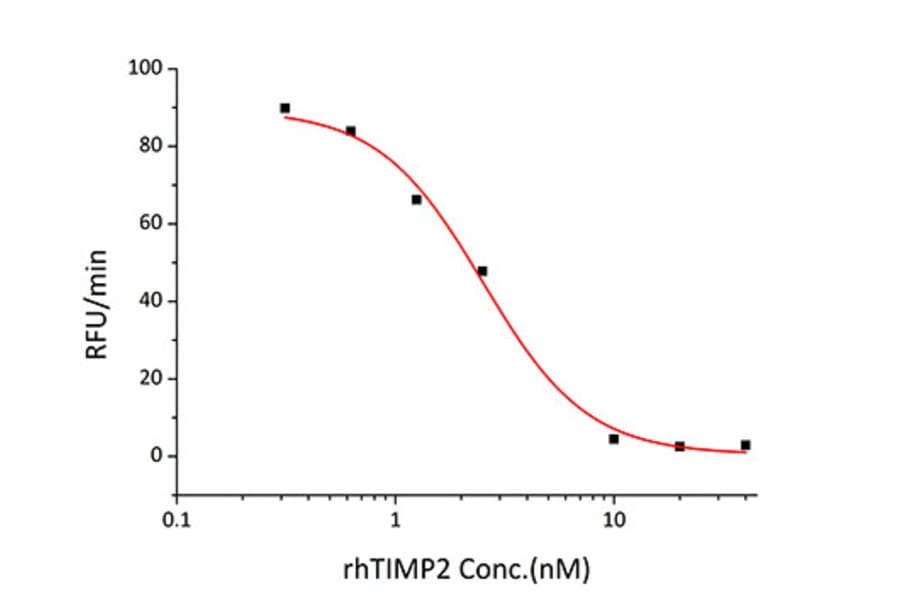 Enzyme inhibition assay - Recombinant Human TIMP2 Protein (C-terminal His Tag) (A331334) - Antibodies.com