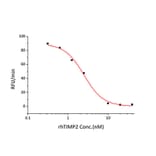 Enzyme inhibition assay - Recombinant Human TIMP2 Protein (C-terminal His Tag) (A331334) - Antibodies.com