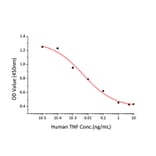 Cytotoxicity Assay - Recombinant Human TNF alpha Protein (C-terminal His Tag) (A331339) - Antibodies.com