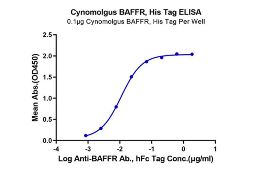 Standard Curve - Recombinant Cynomolgus macaque TNFRSF13C Protein (C-terminal His Tag) (A331345) - Antibodies.com