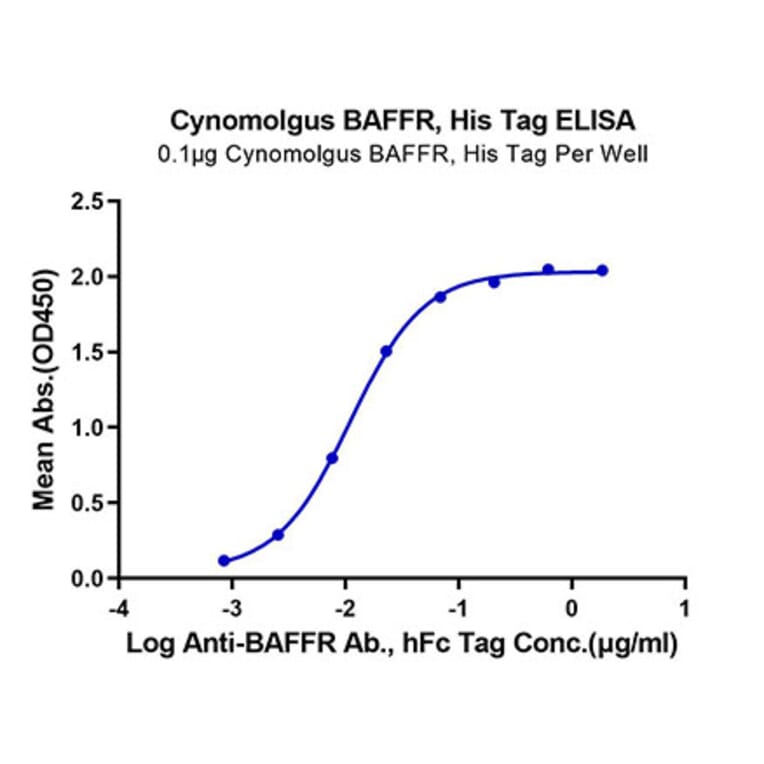 Standard Curve - Recombinant Cynomolgus macaque TNFRSF13C Protein (C-terminal His Tag) (A331345) - Antibodies.com