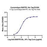Standard Curve - Recombinant Cynomolgus macaque TNFRSF13C Protein (C-terminal His Tag) (A331345) - Antibodies.com