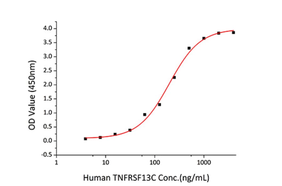 Standard Curve - Recombinant Human TNFRSF13C Protein (C-terminal Human Fc and His Tag) (A331346) - Antibodies.com