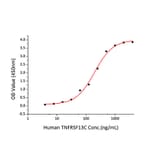 Standard Curve - Recombinant Human TNFRSF13C Protein (C-terminal Human Fc and His Tag) (A331346) - Antibodies.com