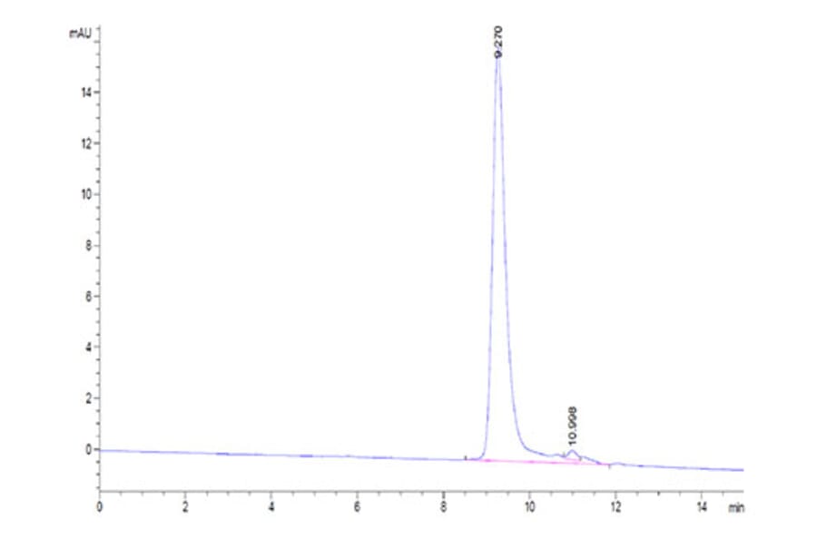 SEC-HPLC - Recombinant Human TNFRSF13C Protein (Biotin) (C-terminal His and Avi Tag) (A331347) - Antibodies.com