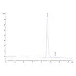 SEC-HPLC - Recombinant Human TNFRSF13C Protein (Biotin) (C-terminal His and Avi Tag) (A331347) - Antibodies.com