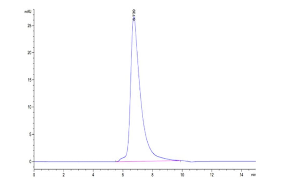 SEC-HPLC - Recombinant Cynomolgus macaque TNFRSF1B Protein (C-terminal His Tag) (A331349) - Antibodies.com
