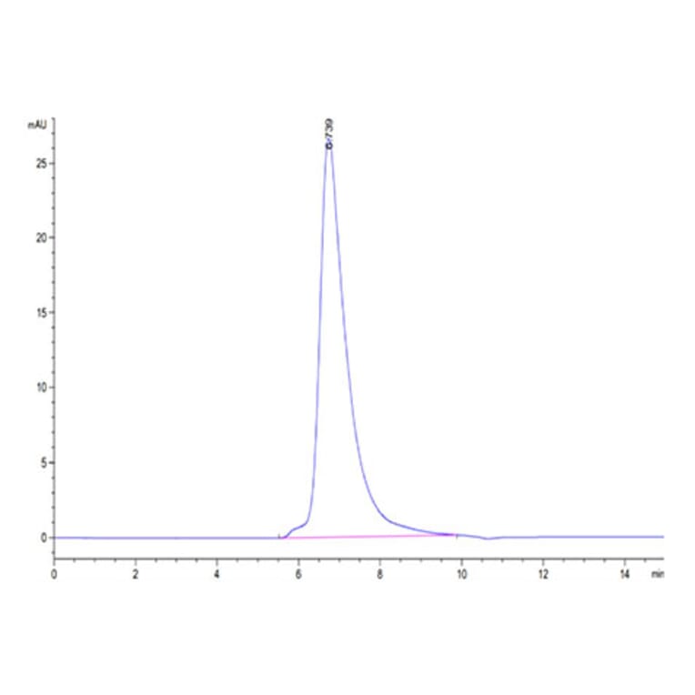 SEC-HPLC - Recombinant Cynomolgus macaque TNFRSF1B Protein (C-terminal His Tag) (A331349) - Antibodies.com