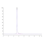 SEC-HPLC - Recombinant Human TNFRSF1B Protein (C-terminal Mouse Fc Tag) (A331351) - Antibodies.com
