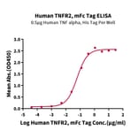 Standard Curve - Recombinant Human TNFRSF1B Protein (C-terminal Mouse Fc Tag) (A331351) - Antibodies.com