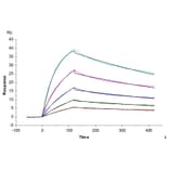 SPR Assay - Recombinant Human TNFRSF1B Protein (C-terminal Mouse Fc Tag) (A331351) - Antibodies.com