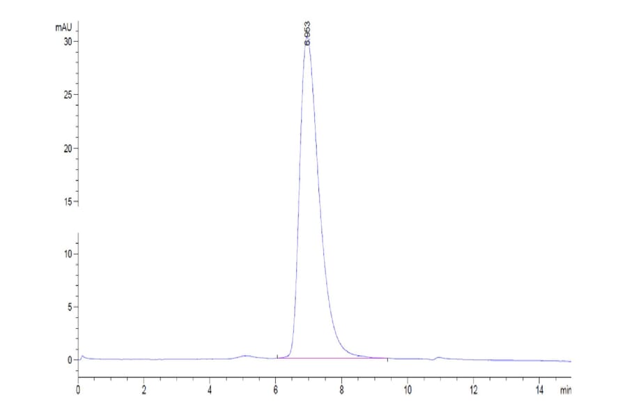 SEC-HPLC - Recombinant Human TNFRSF1B Protein (C-terminal His Tag) (A331353) - Antibodies.com