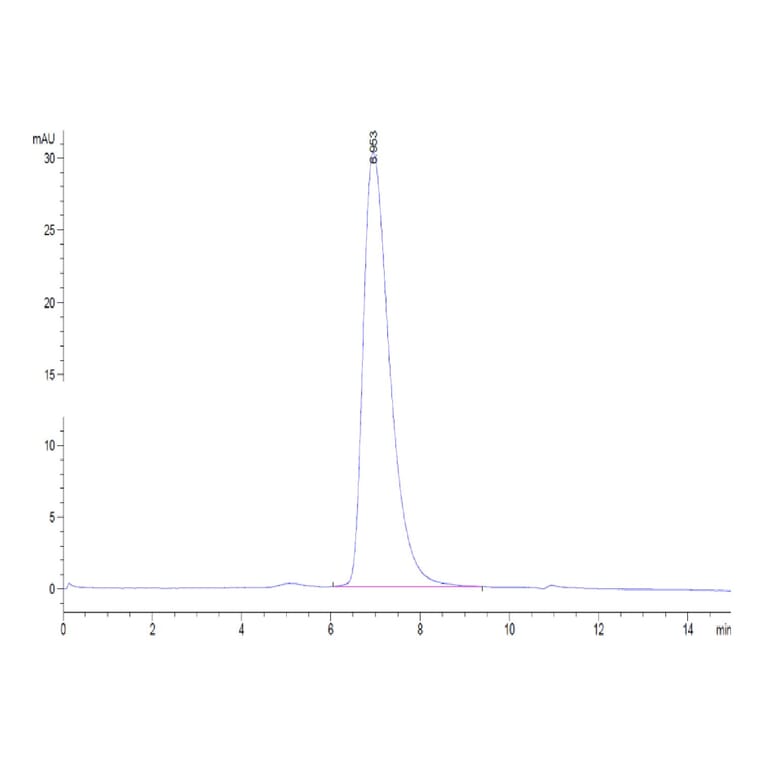 SEC-HPLC - Recombinant Human TNFRSF1B Protein (C-terminal His Tag) (A331353) - Antibodies.com