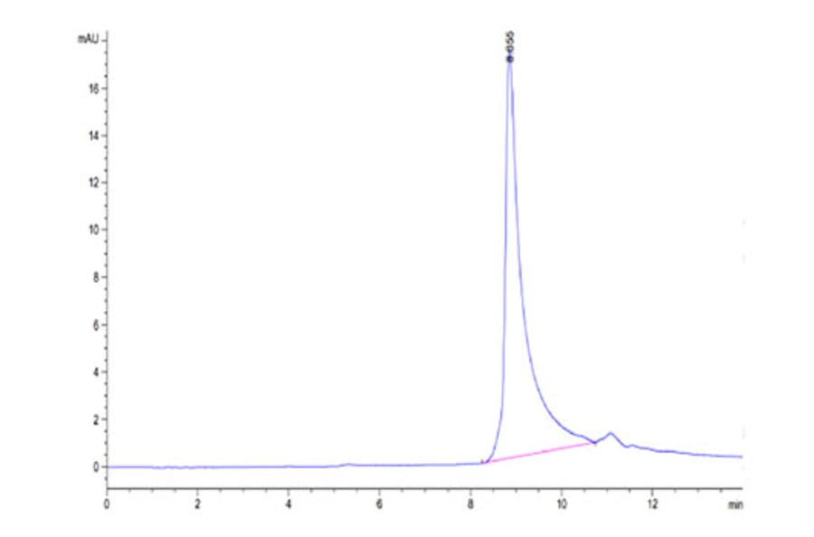 SEC-HPLC - Recombinant Human TNFSF13 Protein (N-terminal His and Flag Tag) (A331354) - Antibodies.com