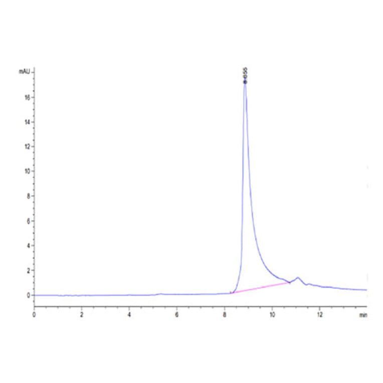 SEC-HPLC - Recombinant Human TNFSF13 Protein (N-terminal His and Flag Tag) (A331354) - Antibodies.com