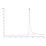 SEC-HPLC - Recombinant Human TNFSF13 Protein (N-terminal His and Flag Tag) (A331354) - Antibodies.com
