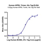 Standard Curve - Recombinant Human TNFSF13 Protein (N-terminal His and Flag Tag) (A331354) - Antibodies.com