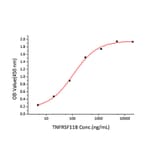 Standard Curve - Recombinant Human TRAIL Protein (A331361) - Antibodies.com