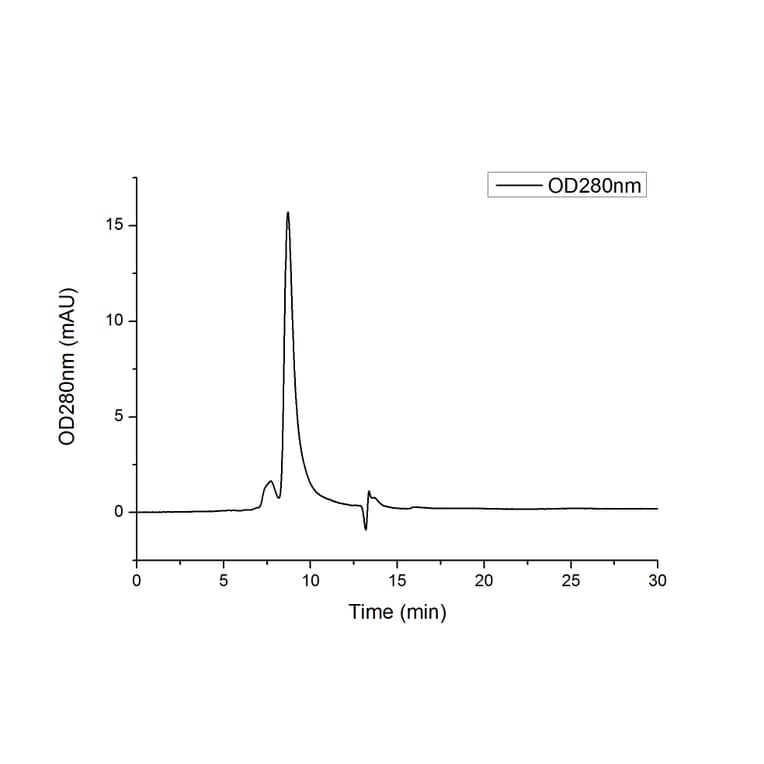 SEC-HPLC - Recombinant Human Transferrin Receptor Protein (C-terminal His Tag) (A331363) - Antibodies.com