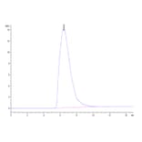 SEC-HPLC - Recombinant Human Transferrin Receptor Protein (Biotin) (N-terminal His and Avi Tag) (A331364) - Antibodies.com