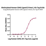 Standard Curve - Recombinant Human TRAP/CD40L Protein (Biotin) (N-terminal His and Flag Tag) (A331367) - Antibodies.com