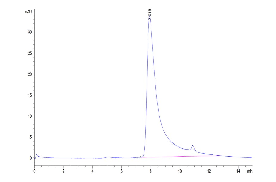 SEC-HPLC - Recombinant Human TRAP/CD40L Protein (N-terminal His and Flag Tag) (A331368) - Antibodies.com