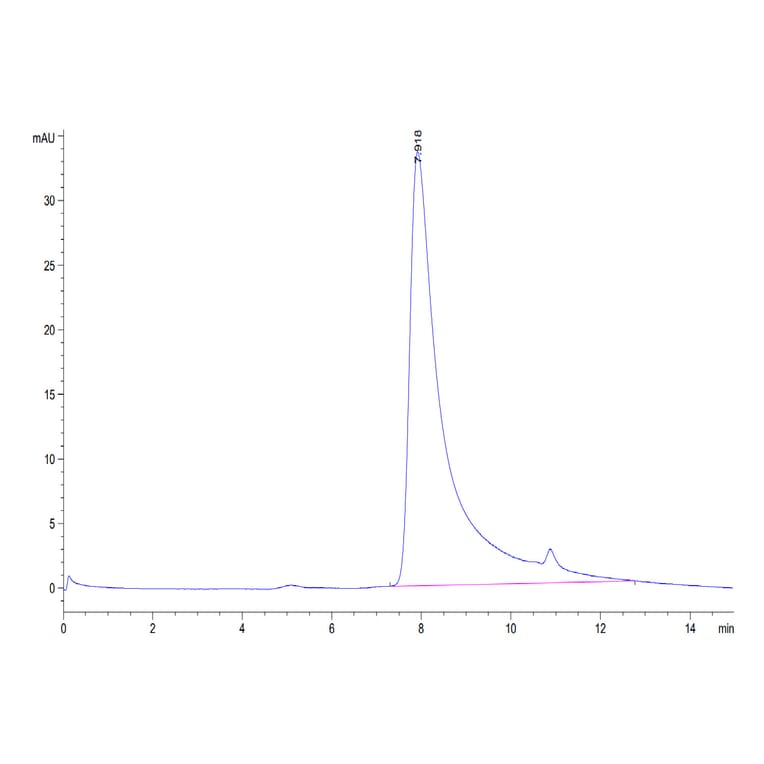 SEC-HPLC - Recombinant Human TRAP/CD40L Protein (N-terminal His and Flag Tag) (A331368) - Antibodies.com
