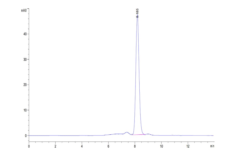 SEC-HPLC - Recombinant Human TRAP/CD40L Protein (N-terminal monomeric Human Fc Tag) (A331369) - Antibodies.com