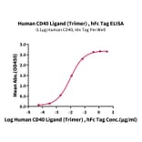 Standard Curve - Recombinant Human TRAP/CD40L Protein (N-terminal monomeric Human Fc Tag) (A331369) - Antibodies.com