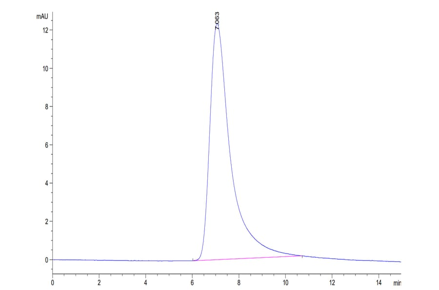 SEC-HPLC - Recombinant Human TREM1 Protein (C-terminal His Tag) (A331370) - Antibodies.com