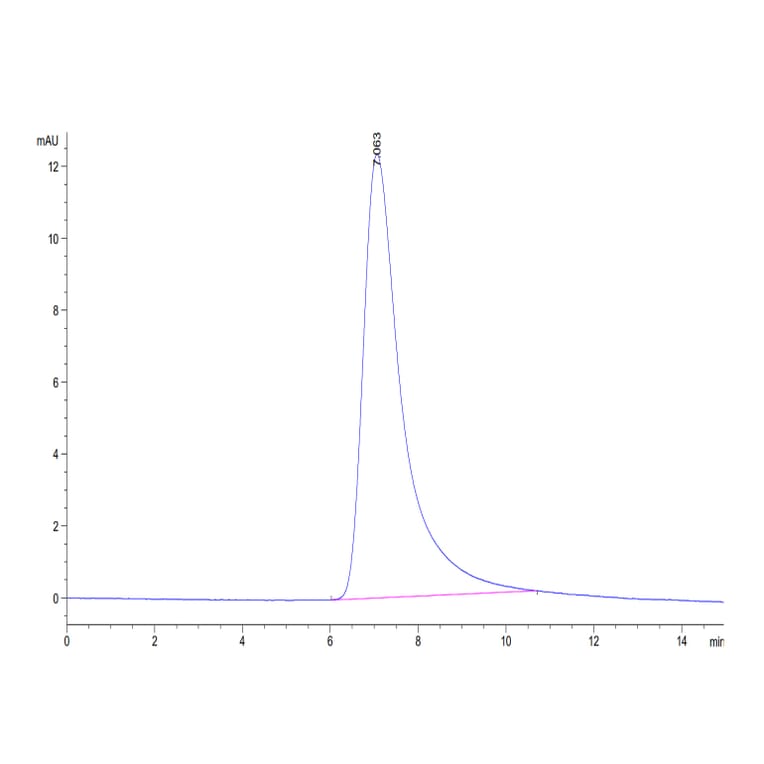 SEC-HPLC - Recombinant Human TREM1 Protein (C-terminal His Tag) (A331370) - Antibodies.com