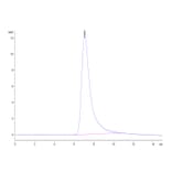SEC-HPLC - Recombinant Human TREM1 Protein (C-terminal His Tag) (A331370) - Antibodies.com