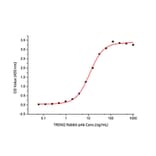 Standard Curve - Recombinant Mouse TREM2 Protein (C-terminal His Tag) (A331372) - Antibodies.com