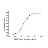 Standard Curve - Recombinant Human TREM2 Protein (C-terminal His Tag) (A331373) - Antibodies.com