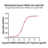 Standard Curve - Recombinant Human TREM2 Protein (Biotin) (C-terminal His and Avi Tag) (A331374) - Antibodies.com