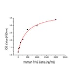 Standard Curve - Recombinant Human TrkC Protein (C-terminal His Tag) (A331380) - Antibodies.com