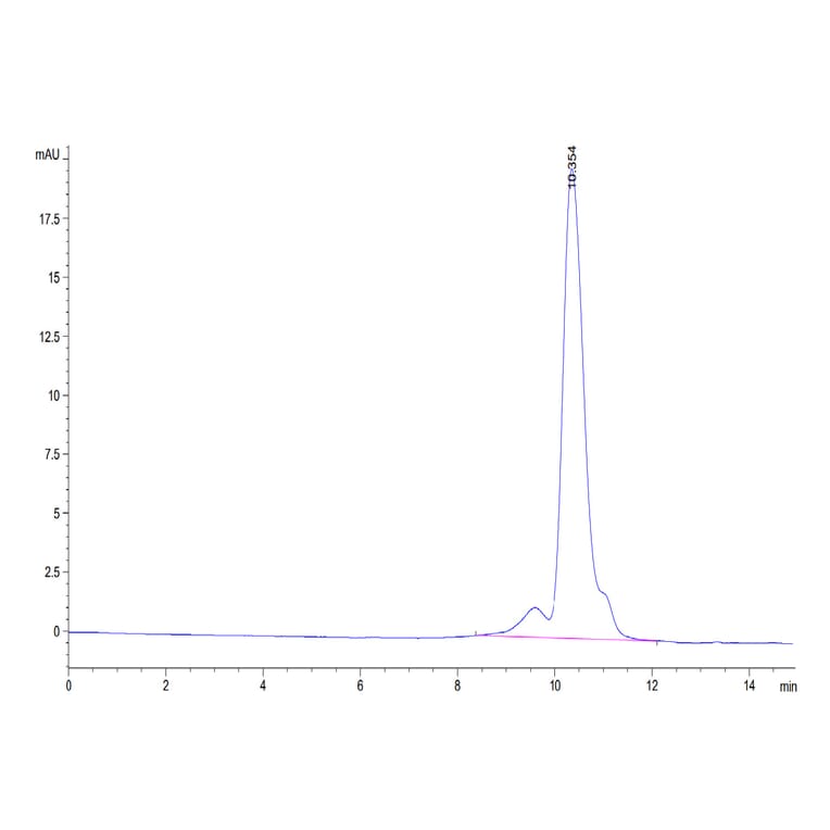 SEC-HPLC - Recombinant Human TROP2 Protein (Biotin) (C-terminal His and Avi Tag) (A331381) - Antibodies.com