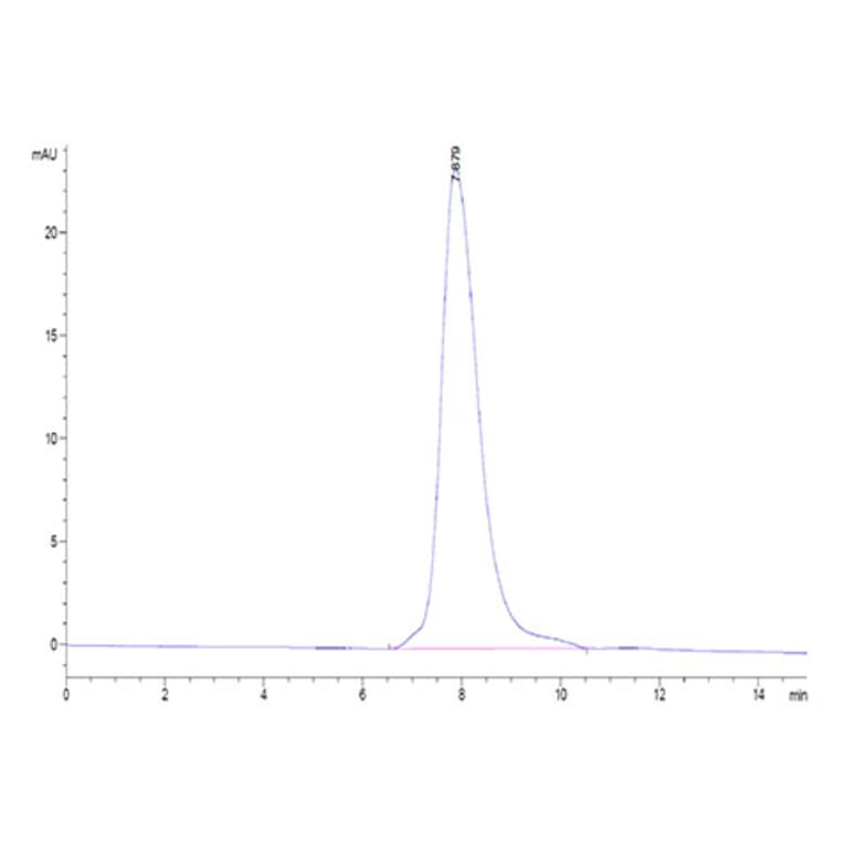 SEC-HPLC - Recombinant Human TSLP Protein (Biotin) (C-terminal His and Avi Tag) (A331386) - Antibodies.com