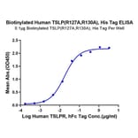 Standard Curve - Recombinant Human TSLP Protein (Biotin) (C-terminal His and Avi Tag) (A331386) - Antibodies.com