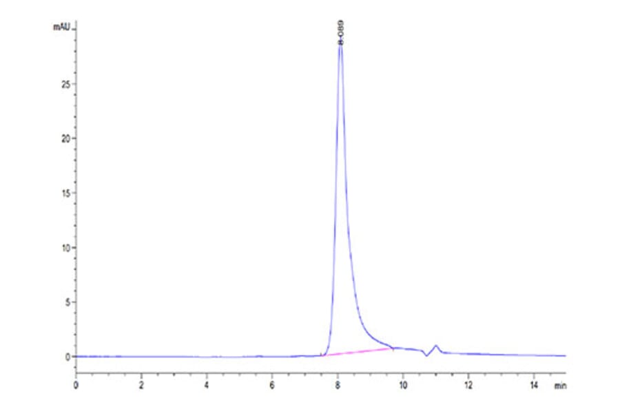 SEC-HPLC - Recombinant Human TSLP Protein (Biotin) (C-terminal His and Avi Tag) (A331387) - Antibodies.com