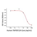 Cell Viability Assay - Recombinant Human TWEAKR/FN14 Protein (C-terminal Human Fc and His Tag) (A331389) - Antibodies.com