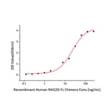Standard Curve - Recombinant Human ULBP2 Protein (C-terminal His Tag) (A331395) - Antibodies.com