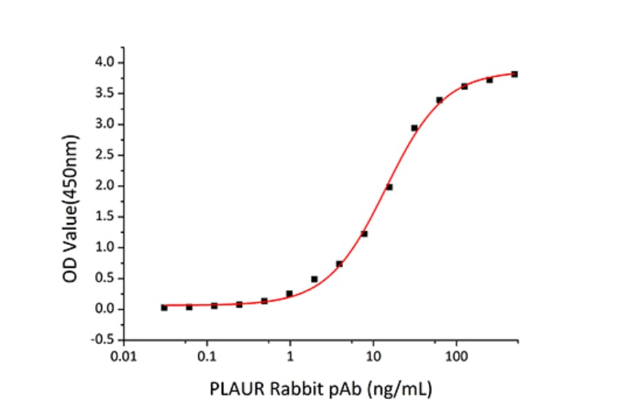 Standard Curve - Recombinant Human uPAR Protein (C-terminal His Tag) (A331398) - Antibodies.com