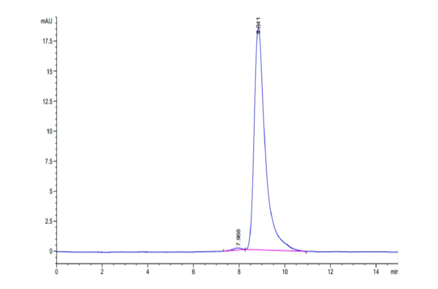 SEC-HPLC - Recombinant Human uPAR Protein (Biotin) (C-terminal His and Avi Tag) (A331399) - Antibodies.com