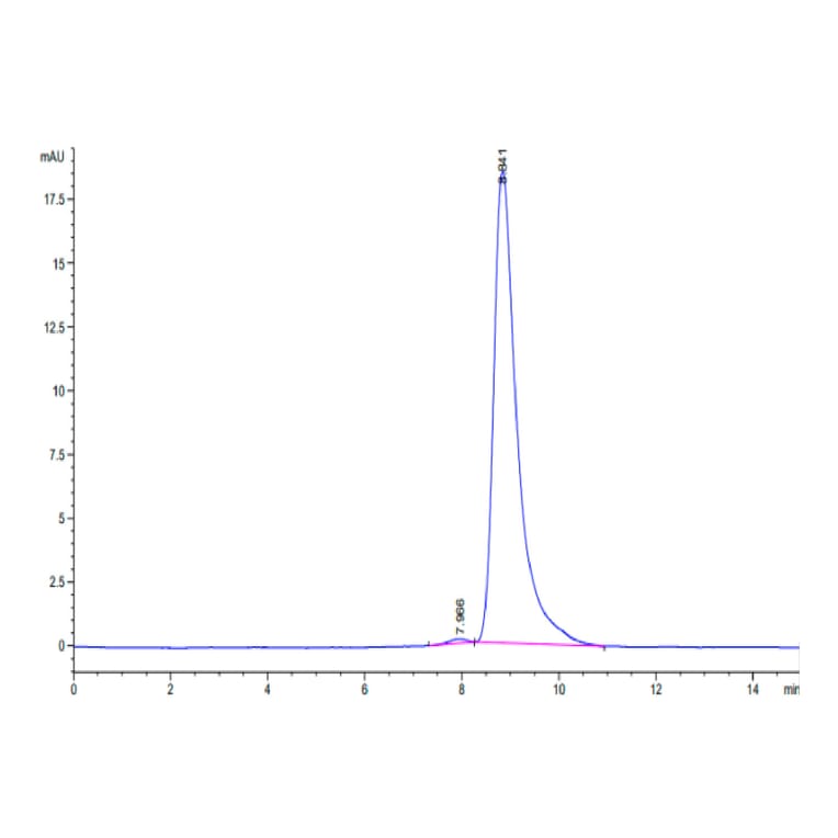 SEC-HPLC - Recombinant Human uPAR Protein (Biotin) (C-terminal His and Avi Tag) (A331399) - Antibodies.com